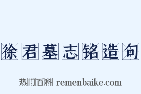 徐君墓志铭造句是什么意思的图片